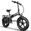 Adult Electric Bike 750W Motor 20"*4.0" All Terrain Fat Tire Ebike with Samsung 48V 12.8Ah Lithium Battery