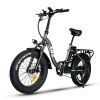 750w Step Through Electric Bike for Adults;  20'x4.0'Fat Tire Foldable Ebikes with 48V 16Ah Removable Battery;  Shimano 7 Speed Electric Bicycles for